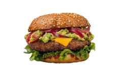 BEYOND BURGER  40x113gr